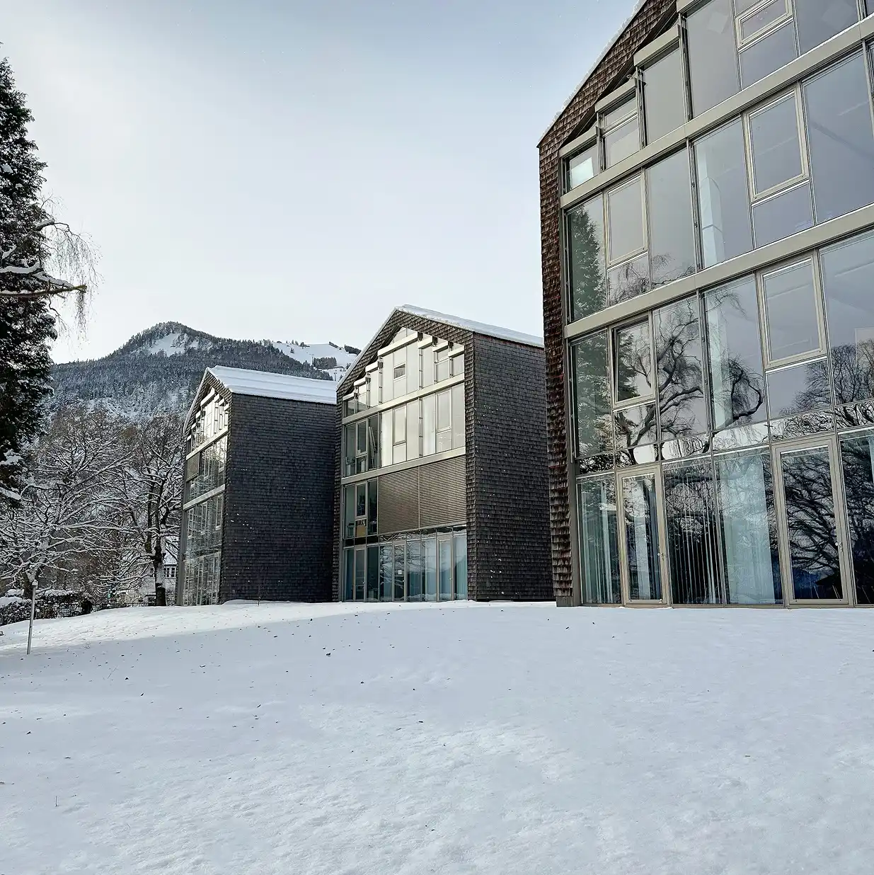 Cette photographie hivernale présente le même ensemble résidentiel d'architecture contemporaine sous un angle différent, révélant l'ampleur du projet et la cohérence architecturale de l'ensemble. La vue latérale permet d'apprécier l'articulation des volumes et l'intégration paysagère. Architecture - composition volumétrique : Le projet se déploie sur plusieurs corps de bâtiments articulés : volume principal de 4 niveaux avec façade entièrement vitrée côté montagne, ailes latérales en retrait créant des creux et des pleins dynamiques, toitures à deux pentes à faible débord couvertes de neige fraîche, volumes secondaires de 3 niveaux se greffant harmonieusement sur le bâtiment principal, et silhouette contemporaine affirmée respectant néanmoins les gabarits alpins. Matériaux et traitement des façades : L'identité architecturale s'exprime à travers des choix matériaux cohérents : bardage en ardoise ou fibrociment anthracite texturé couvrant les parties opaques créant une peau minérale élégante, larges baies vitrées du sol au plafond avec menuiseries aluminium blanc ou gris clair assurant lumière et vues, garde-corps vitrés ou métalliques épurés préservant la transparence, panneaux opaques en partie basse (peut-être brise-vues ou habillage technique) en teinte claire contrastant, et jeu subtil entre surfaces vitrées et opaques créant un rythme architectural sophistiqué. Environnement et parc : L'implantation valorise le cadre naturel exceptionnel : vaste parc enneigé au premier plan offrant recul et mise en scène de l'architecture, arbres matures encadrant la construction (conifères à droite, feuillus dénudés à gauche), massif montagnard boisé en arrière-plan avec sommet enneigé visible, végétation préservée témoignant d'une intégration paysagère soignée, et implantation en léger dénivelé exploitant la topographie naturelle du site. Lumière et atmosphère : Les conditions hivernales créent une ambiance particulière : ciel gris uniforme diffusant une lumière douce et homogène, neige fraîche immaculée soulignant la pureté des lignes architecturales, reflets subtils dans les larges vitrages révélant la végétation environnante, atmosphère feutrée et paisible typique des journées d'hiver en montagne, et contraste élégant entre le bardage sombre et la blancheur de la neige. Programme et standing : L'architecture suggère un programme résidentiel haut de gamme : appartements spacieux bénéficiant de multiples orientations, surfaces généreuses déduites de l'ampleur des façades vitrées, prestations contemporaines et finitions soignées visibles, et cadre de vie exceptionnel alliant nature préservée et confort moderne.