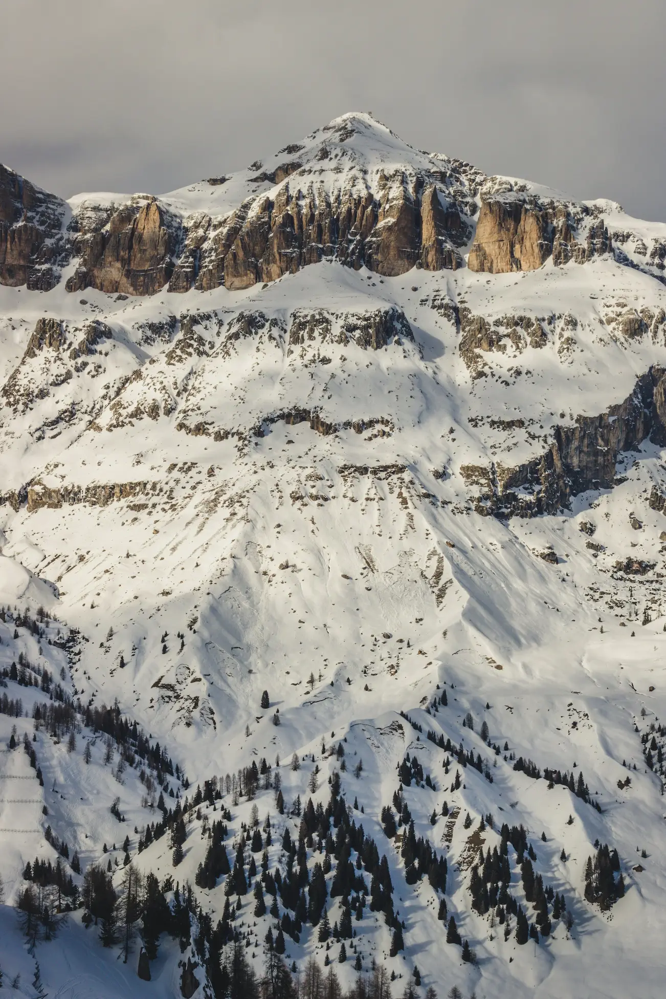 Cette photographie spectaculaire révèle la puissance et la beauté brute d'un sommet alpin remarquable, probablement situé dans les Préalpes ou les Alpes calcaires du Nord. L'image capture avec une clarté saisissante la structure géologique, l'étagement de la végétation et la majesté des reliefs hivernaux. Le sommet - géologie et structure : La montagne déploie une architecture géologique impressionnante : falaises calcaires stratifiées aux teintes ocre et beige révélant des millions d'années de sédimentation, barres rocheuses verticales spectaculaires culminant probablement entre 2500 et 3000 mètres d'altitude, strates horizontales clairement visibles témoignant du plissement alpin, calottes et corniches neigeuses coiffant les sommets et accentuant le caractère inaccessible, face nord ombragée conservant la neige et les glaces, et face sud partiellement dégagée où la roche affleure sous l'effet du soleil et du vent. Les versants - organisation en étages : Les pentes inférieures révèlent une organisation verticale caractéristique de la montagne alpine : étage subalpin avec forêts clairsemées de conifères (épicéas, sapins, mélèzes) adaptés aux conditions rigoureuses, arbres dispersés en bouquets ou en îlots créant un rythme visuel sombre sur la neige blanche, limite supérieure de la forêt (tree line) clairement visible vers 2000-2200 mètres, étage alpin au-dessus avec pelouses et éboulis recouverts de neige, et couloirs d'avalanche striés creusant les versants raides. Lumière et conditions : L'éclairage latéral rasant crée une atmosphère dramatique : lumière hivernale douce révélant les reliefs et les textures de la roche, ombres portées accentuant le modelé des versants et la profondeur des combes, ciel gris uniforme typique d'une journée d'hiver nuageuse en montagne, atmosphère feutrée et silencieuse caractéristique de la haute montagne hivernale, et contraste saisissant entre la blancheur immaculée de la neige et les tons chauds de la roche calcaire. Échelle et perspective : La composition souligne l'immensité du massif : les arbres minuscules en premier plan donnant l'échelle monumentale de la montagne, verticalité impressionnante des parois rocheuses de plusieurs centaines de mètres, et sentiment de petitesse humaine face à la puissance géologique. Atmosphère : L'ensemble dégage une sensation de grandeur intemporelle, de pureté sauvage préservée, de puissance tranquille de la nature, et d'émerveillement devant la beauté brute des Alpes.